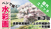 上ノ平城跡一本桜