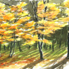 代々木公園