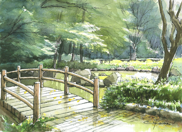 東高根森林公園