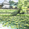 法華経寺