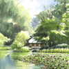 せせらぎ公園