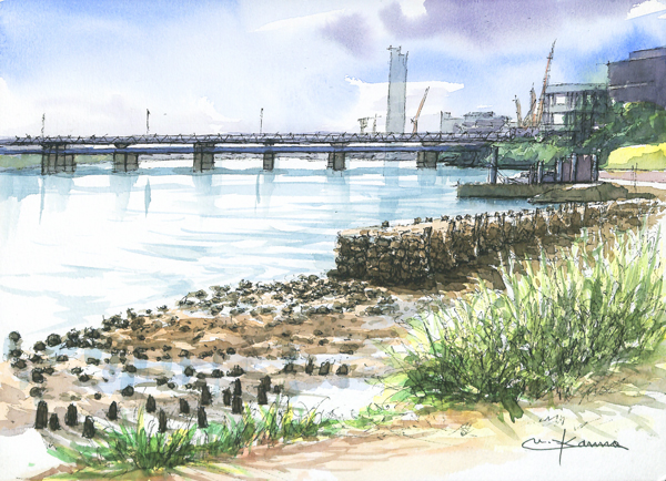 鶴見川河口干潟